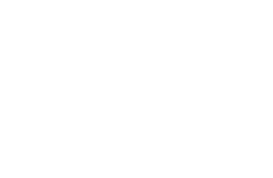 Farol Pro